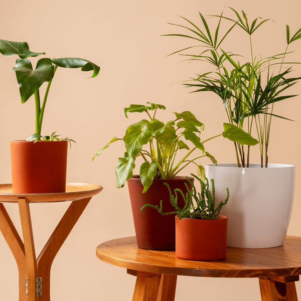 Planters & Pots