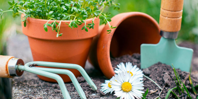 Gardening tools and a potted plant on a garden bed with a daisy flower.